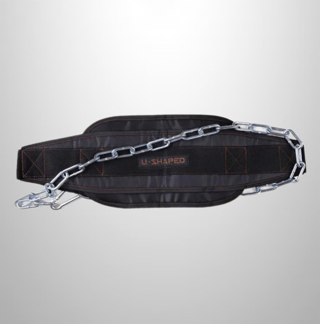 Weighted dip/pull up belt