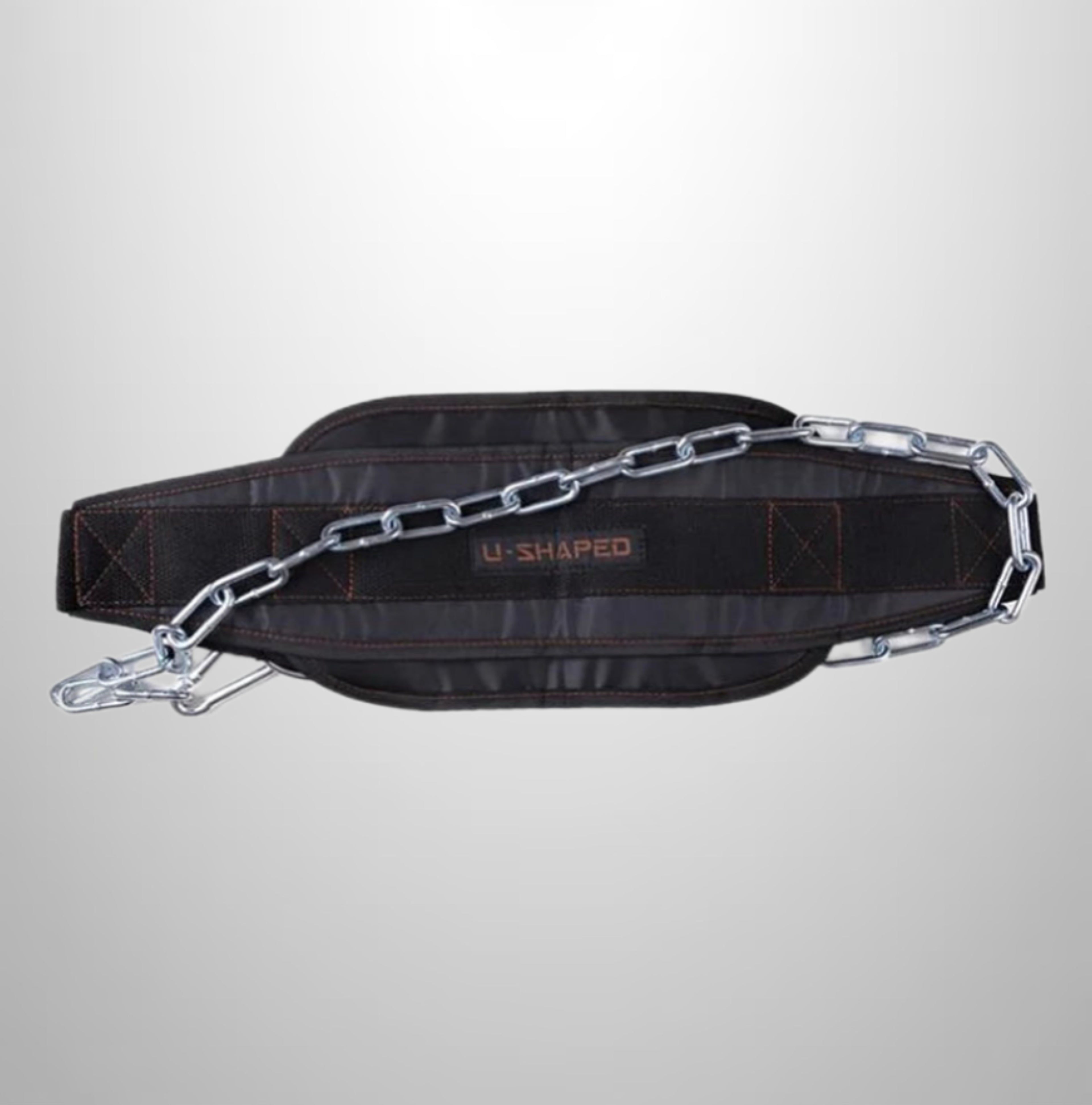 Weighted dip/pull up belt